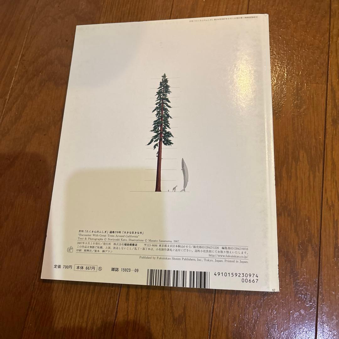 Many Wonders Big Giant Tree