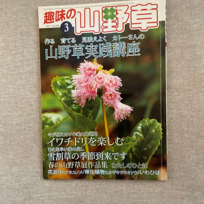 Wild Herb Practice Seminar