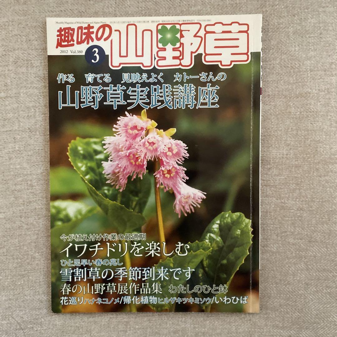 Wild Herb Practice Seminar