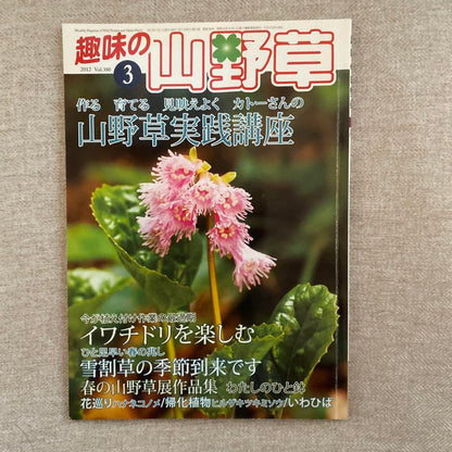 Wild Herb Practice Seminar