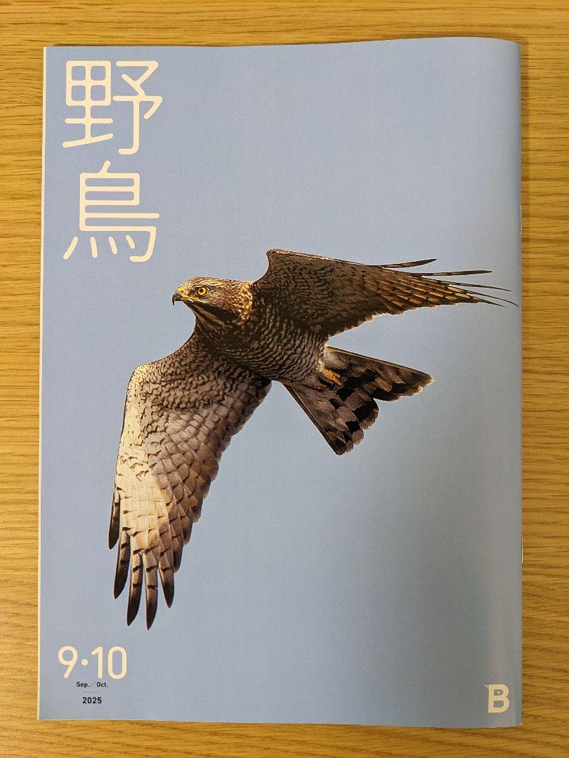 Wild Birds 9-10 2025