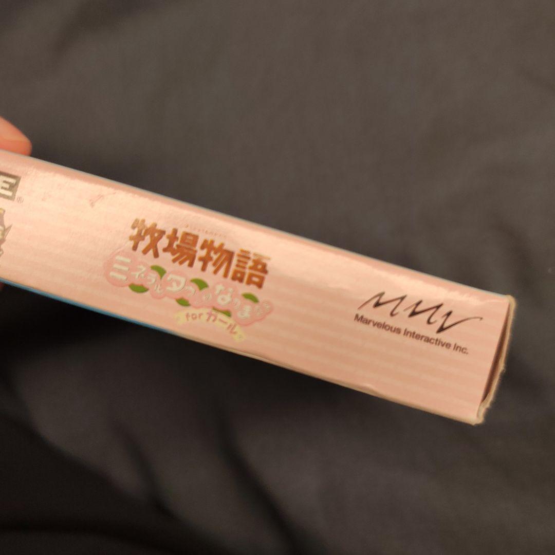 Ranch Story Mineral Town Friends for Girls