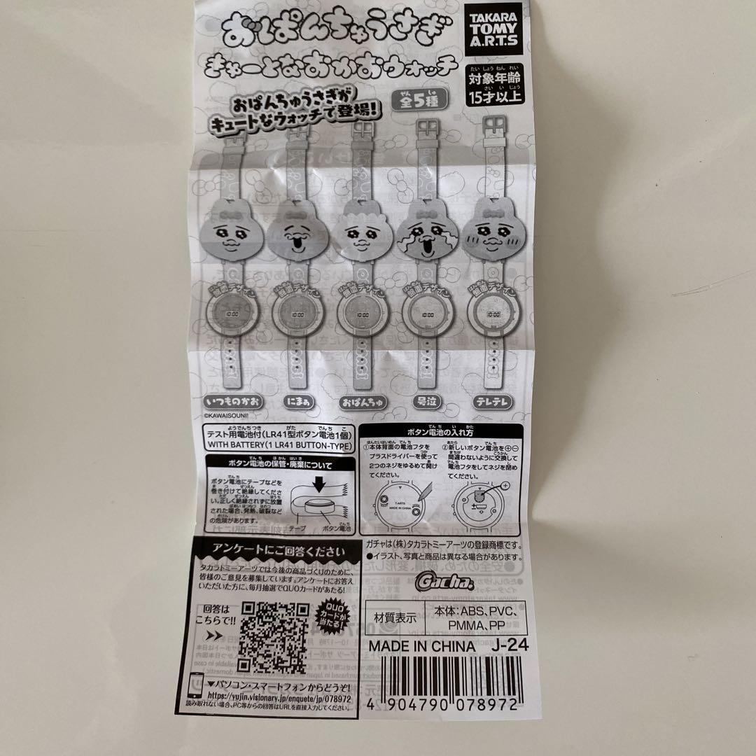 Panchi the Rabbit Cute Watch Tears