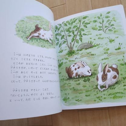 The Tale of Narohiro's Picture Book After the Gale
