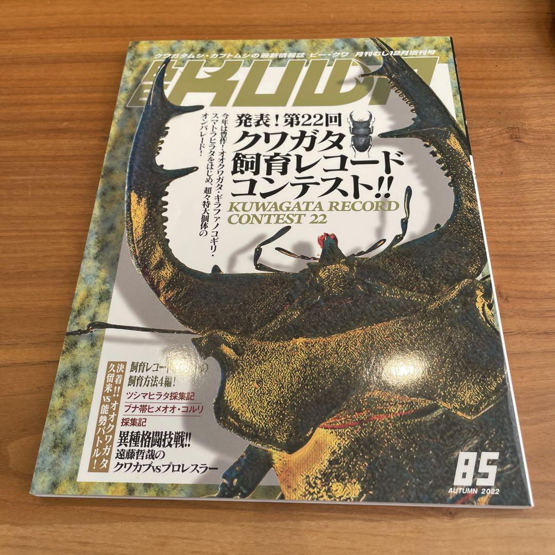 BE-KUWA 4-Book Set, Stag Beetle, Kuwagata, Insects