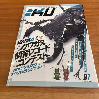 BE-KUWA 4-Book Set, Stag Beetle, Kuwagata, Insects