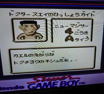 Pachisuro Victory Guide GB Game Boy Pachisuro