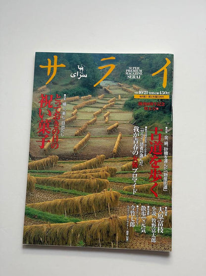 My Youth Actress Photo Collection/Walking the Old Road/Festival Sweets October 21, 1999