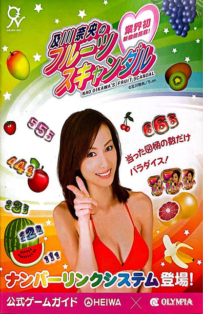 Old Pachinko Official Guidebook Eva
