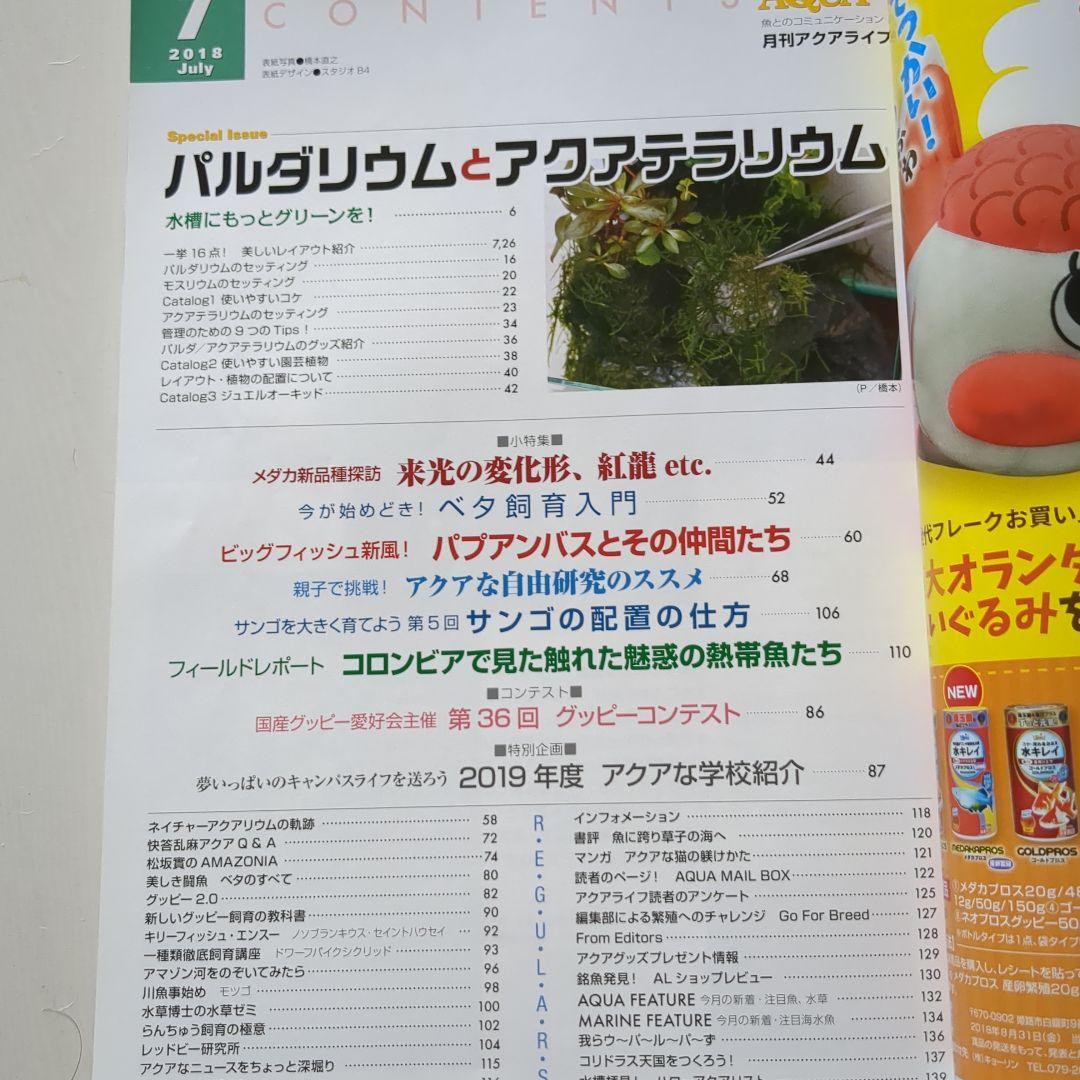 Paludarium and Aquaterrarium No. 1 Aquari Life July 2018