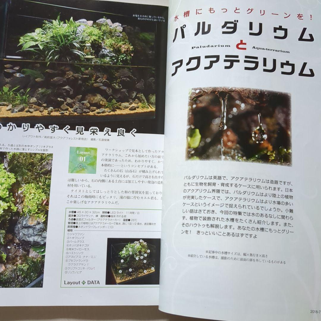 Paludarium and Aquaterrarium No. 1 Aquari Life July 2018