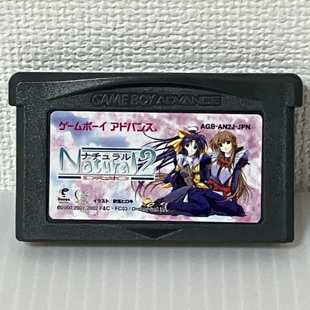 Rare Item  Game Boy Advance Game  Natural 2 DUO