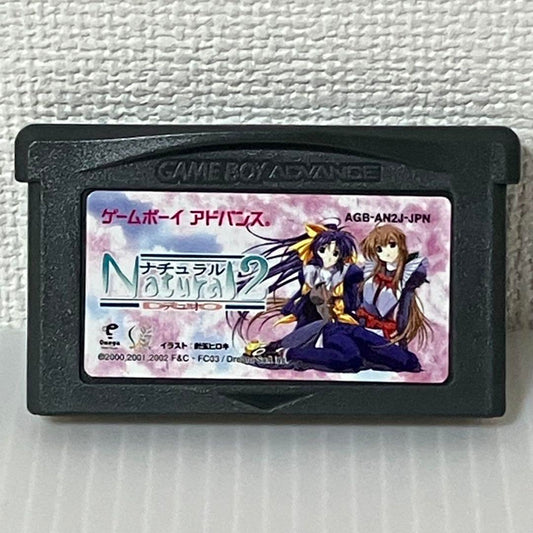Rare Item  Game Boy Advance Game  Natural 2 DUO