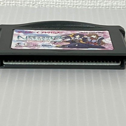 Rare Item  Game Boy Advance Game  Natural 2 DUO