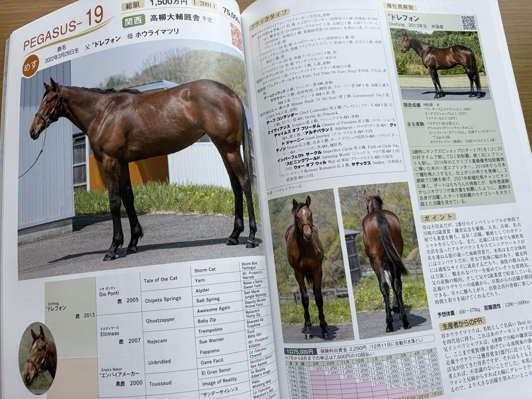 Union Owners Club Catalog 2023-2024 Set