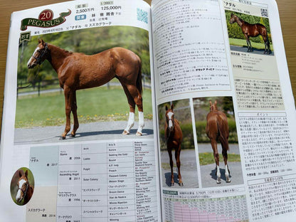 Union Owners Club Catalog 2023-2024 Set