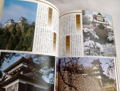 Name Castle / Japan Discovery 13 July 1, 1980