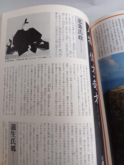 Name Castle / Japan Discovery 13 July 1, 1980