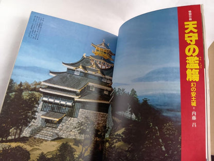 Name Castle / Japan Discovery 13 July 1, 1980