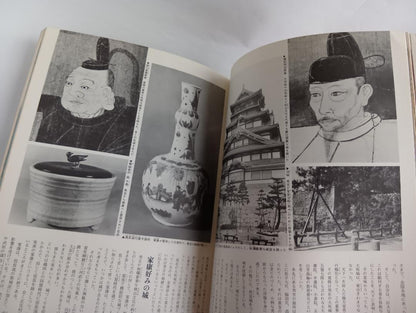 Name Castle / Japan Discovery 13 July 1, 1980