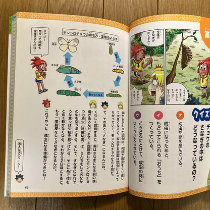 5-Minute Survival for 3rd Graders