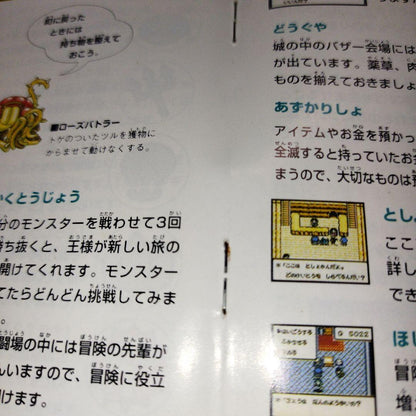 Dragon Quest Monsters User Manual Only Good Condition