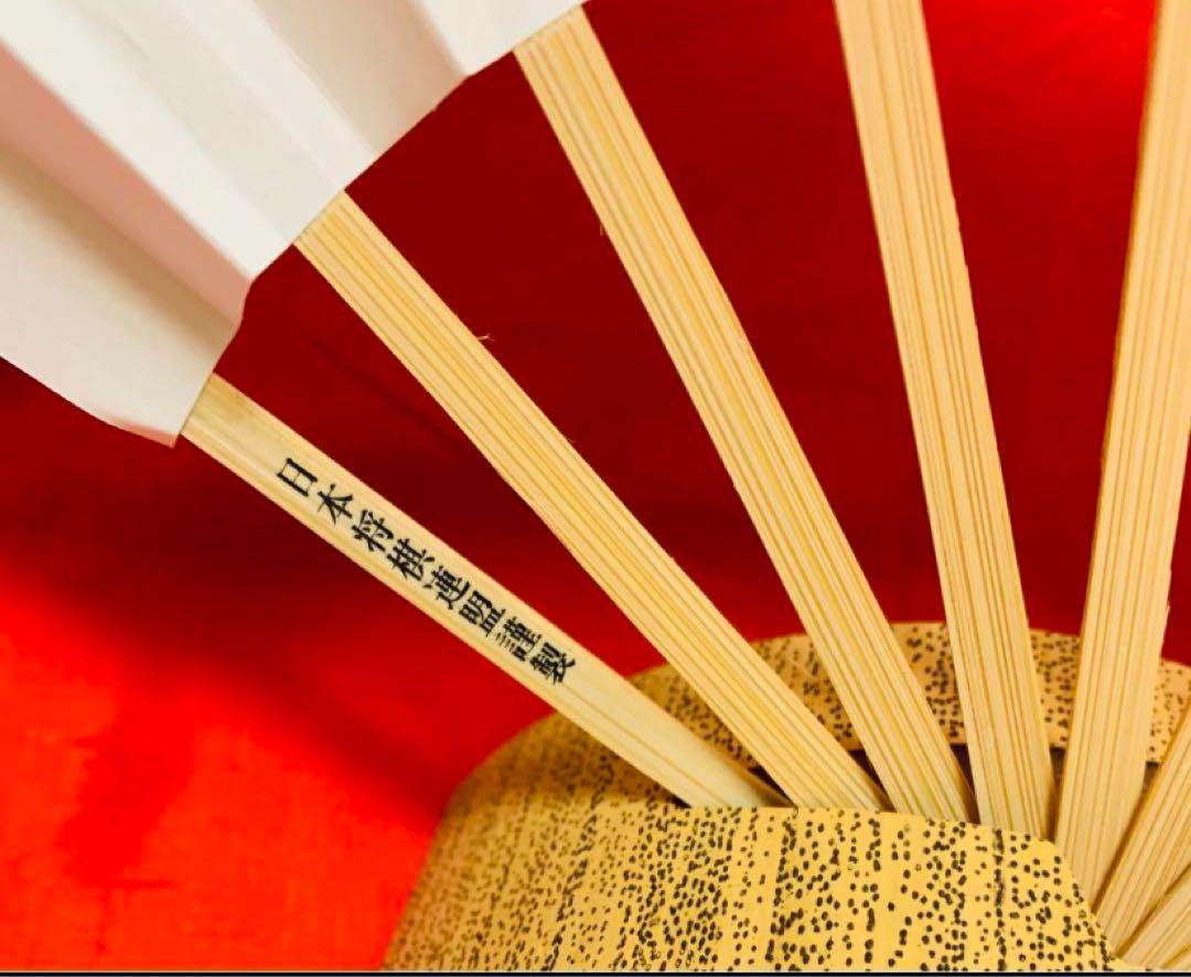 Sota Fujiii Shogi Player's Brush Writing 'Progress' Fan and Pen Case