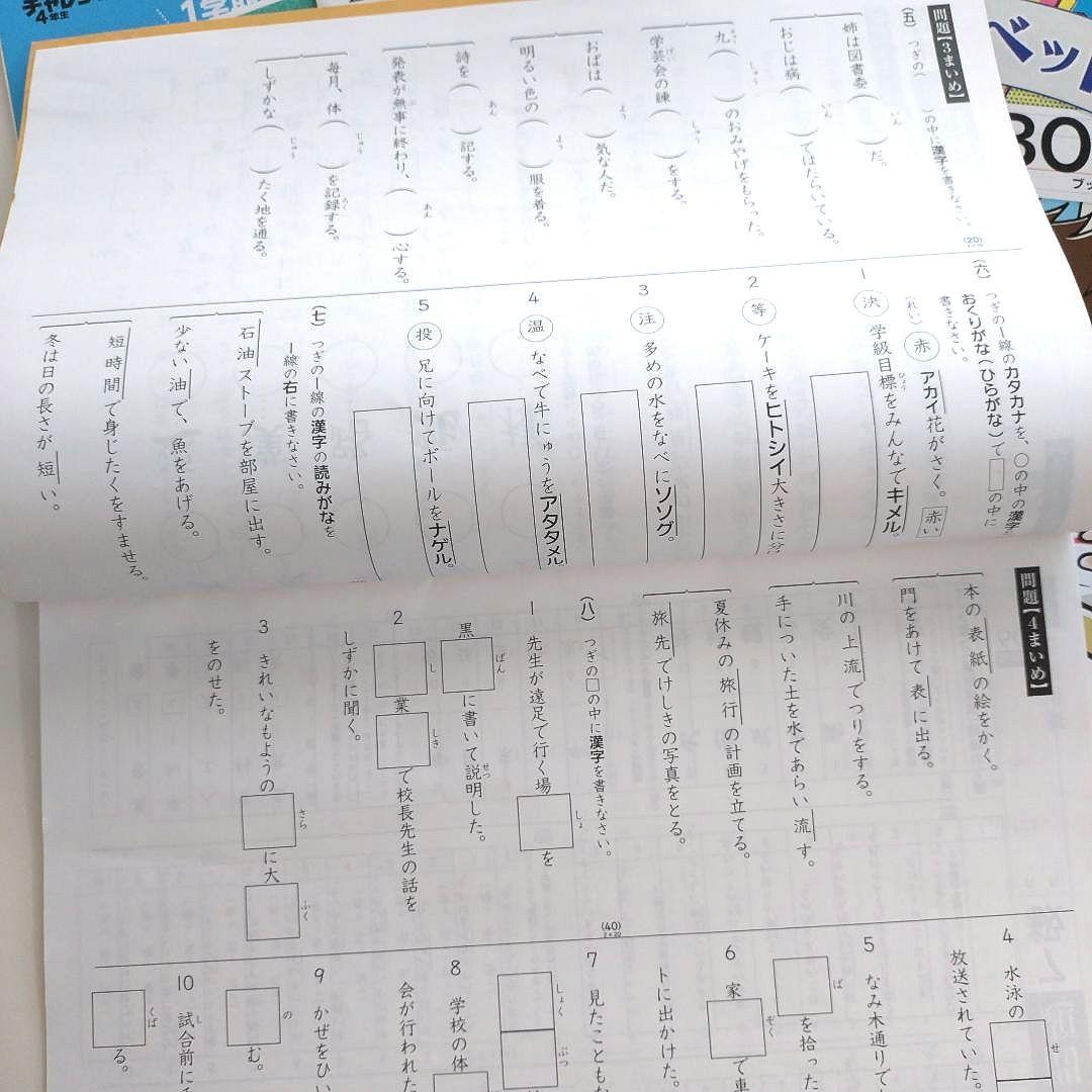 Benesse Elementary School Seminar 4th and 5th Graders Text Drill