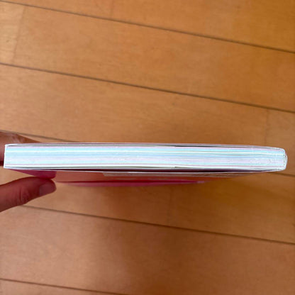 12 Months of DIY Play Ideas Book