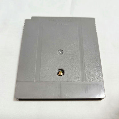 Pingu ~The Most Energetic Penguin in the World~