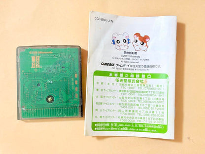 Retro Heisei Totoko Hamtaro 2 Game Boy Software