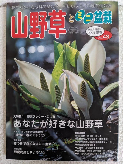 Wildflowers and Miniature Potted Plants, Spring 2004 Edition