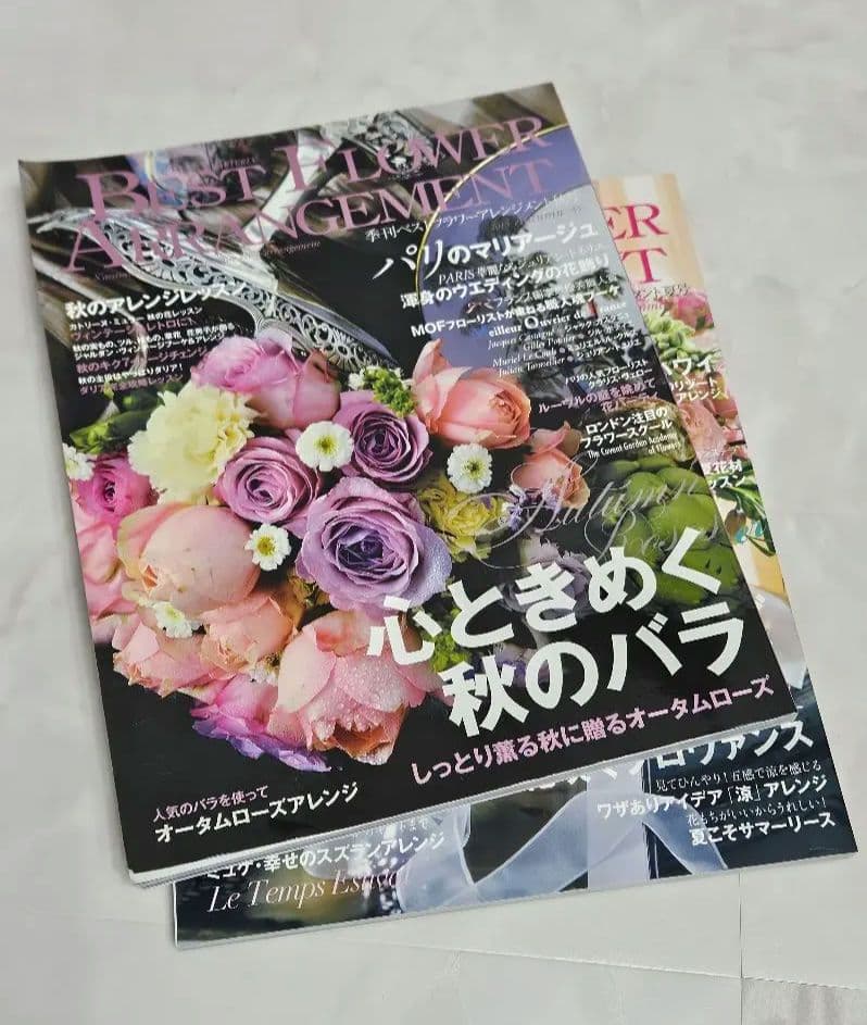 Best Flower Arrangement Back Numbers 2 Volumes