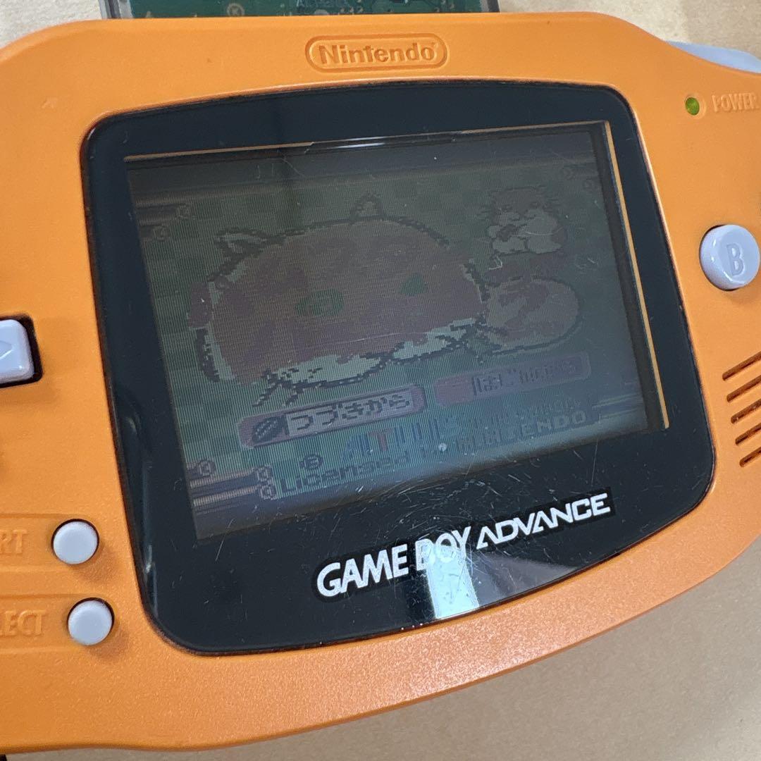 Action Confirmed Hamster Game Software Bundle