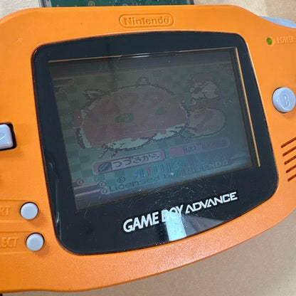 Action Confirmed Hamster Game Software Bundle