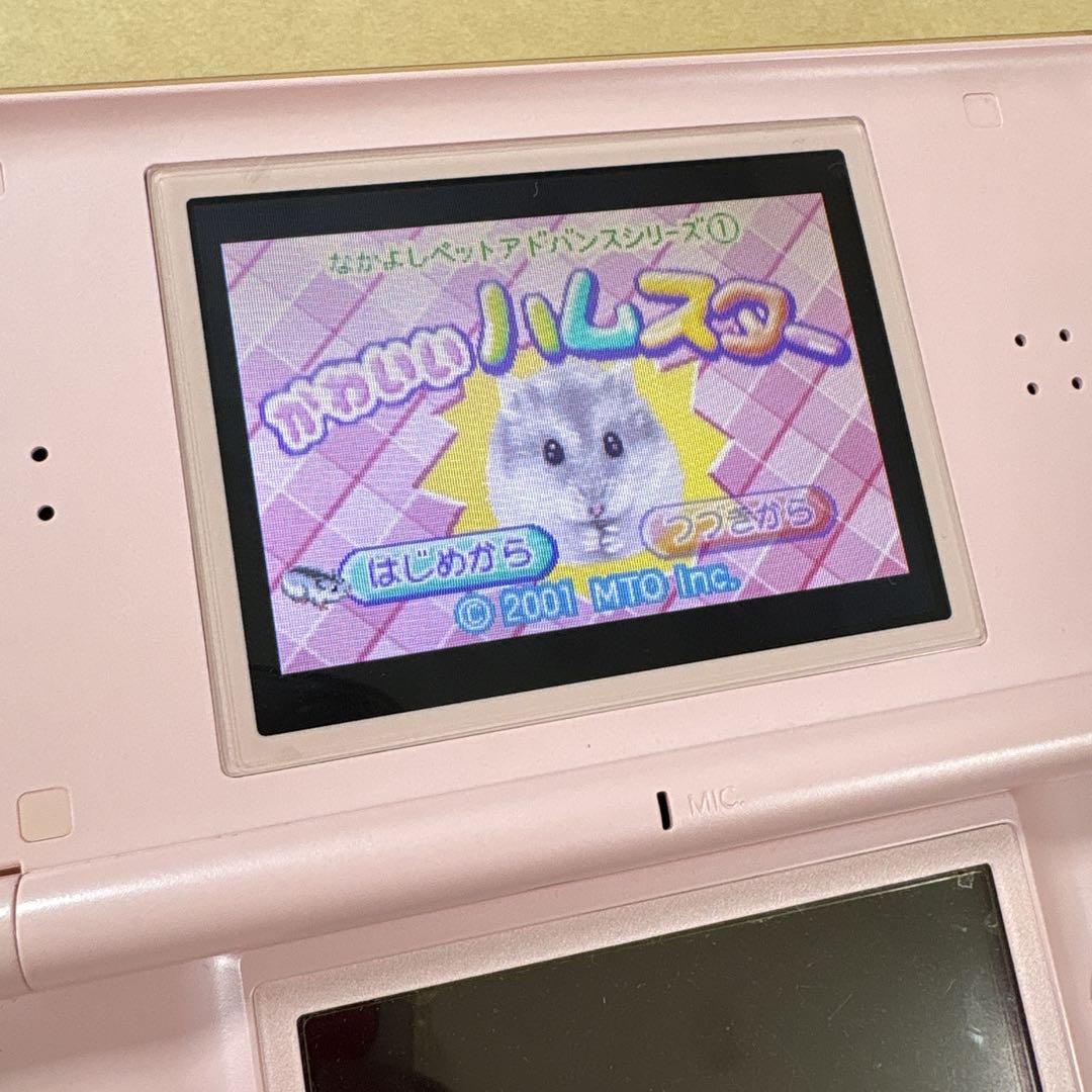 Action Confirmed Hamster Game Software Bundle