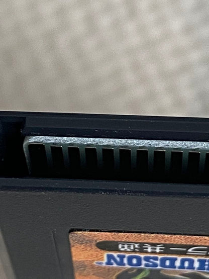 Poyon's Dungeon Room Game Boy Color