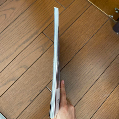 RED BULL AIR RACE WORLD CHAMPIONSHIP 2018