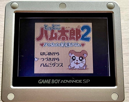 Hamtaro 2 Game Boy Color Software