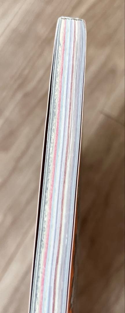 One Piece Magazine vol.6 ONE PIECE magazine with bonus