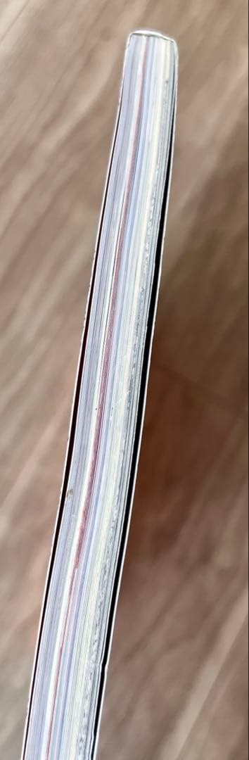 One Piece Magazine vol.6 ONE PIECE magazine with bonus