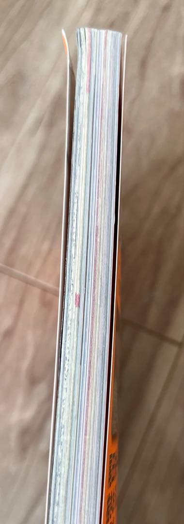 One Piece Magazine vol.6 ONE PIECE magazine with bonus