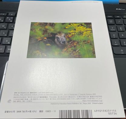 Many Wonders: Japanese Sika Deer's Pearl, November 2025