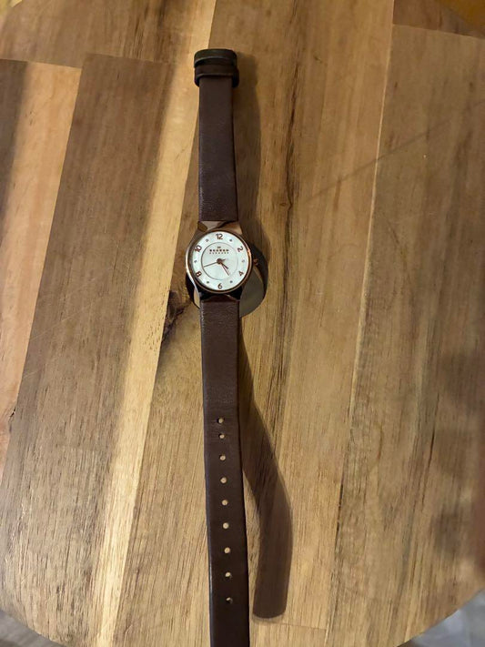 SKAGEN Brown Watch