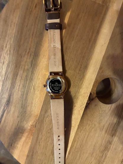 SKAGEN Brown Watch