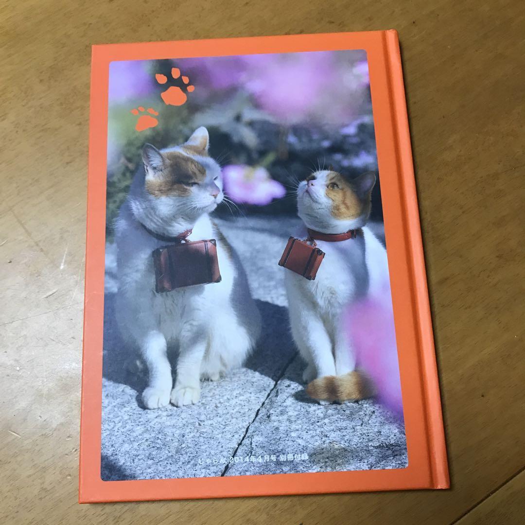 Nyarann's Memory Album Jaran Premium