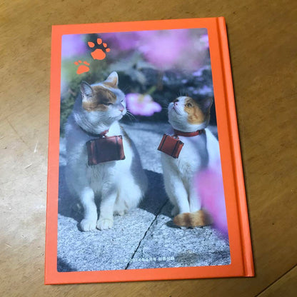 Nyarann's Memory Album Jaran Premium