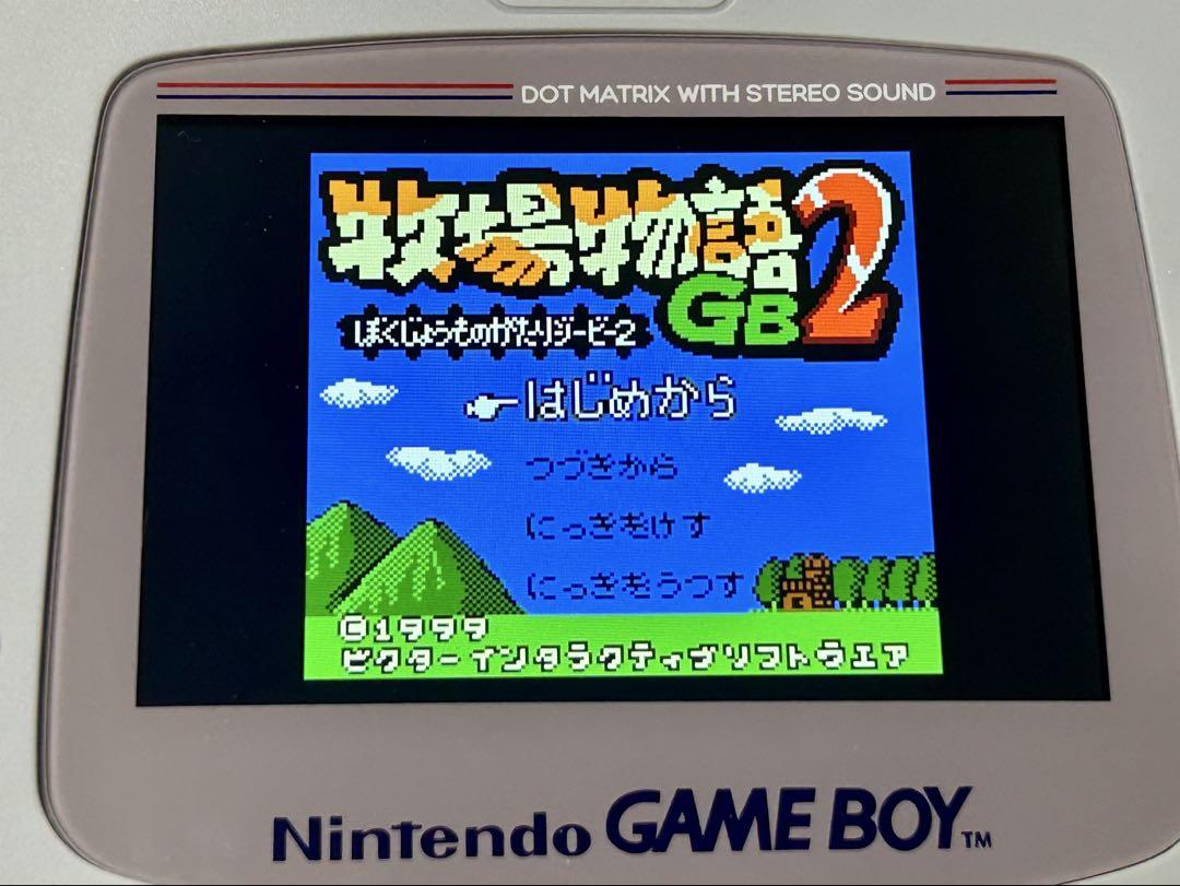 Ranch Story GB2 Game Boy Color Black and White Game Boy Also