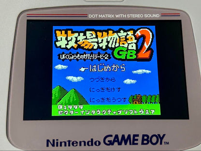 Ranch Story GB2 Game Boy Color Black and White Game Boy Also