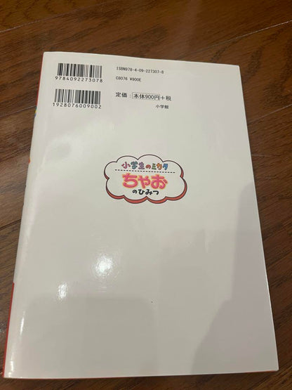 Official Fan Book Chao's Secrets